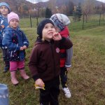 phoca_thumb_m_drak 16 Fotogalerie